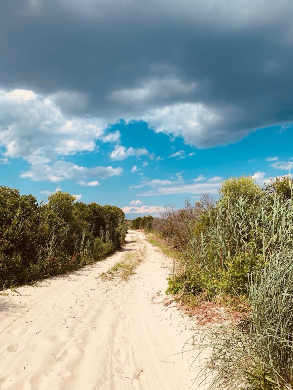 Why I’m Still An SLP after 20&nbsp;Years